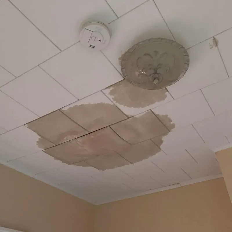Ceiling Water Damage Repair in New London, IA