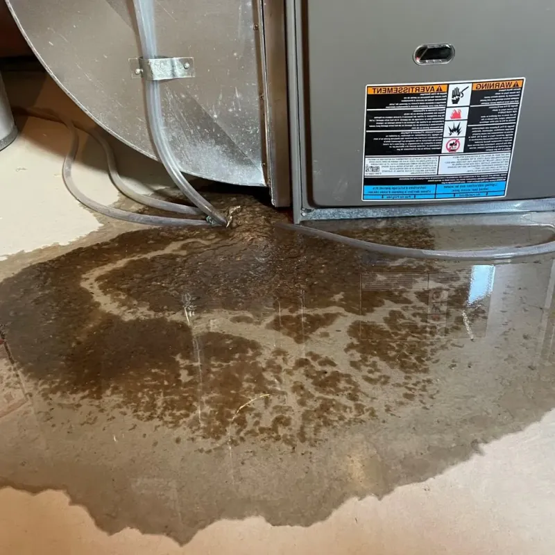 Pipe Burst and Leak Restoration in New London, IA