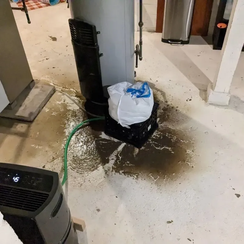 Sewage Backup Cleanup Service in New London, IA